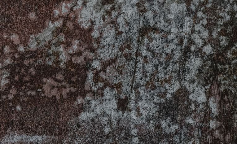 Weathered wall showing cracks and damp damage