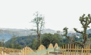 How to Fix a Broken Fence Panel: A Complete Step-by-Step Guide