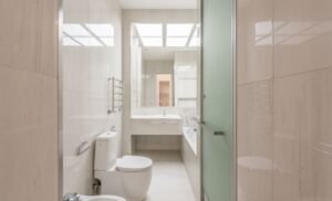 How to Remove Limescale from a Toilet: A Complete UK Guide